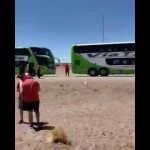 Los micros de River siguen en camino
