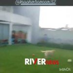 "Filmame que la meto", dijo Scocco.