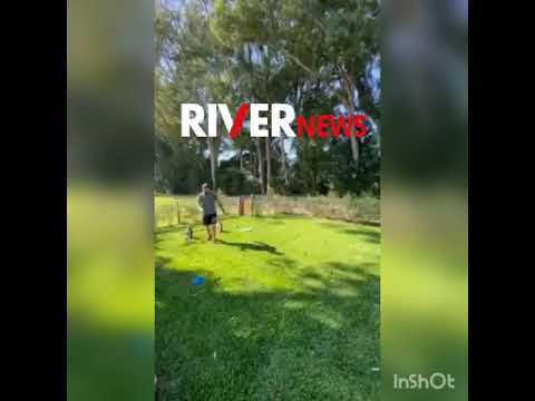 El Oso Pratto no para.