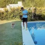 Bruno Zuculini, con buena compañía.