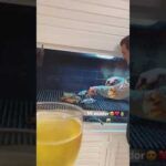 Pulpo a la parrilla.